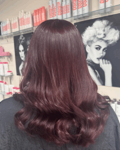 plum hair colours Hoop Hair Salon Clacton on Sea