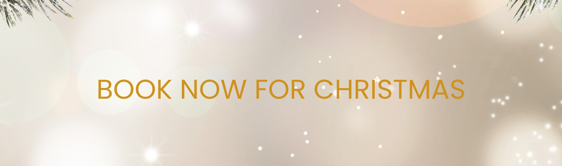 BOOK NOW FOR CHRISTMAS (1)